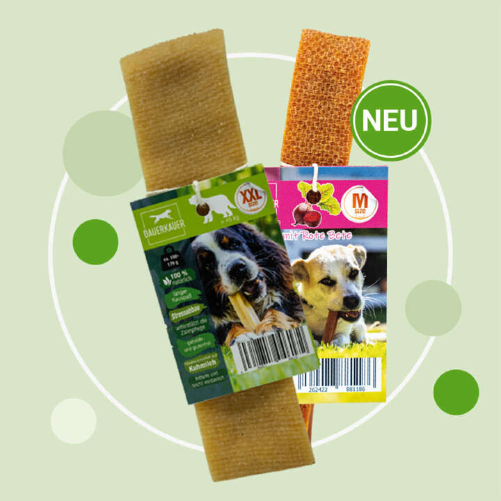 dauerkauer hunde kaesekauknochen 800x800 1